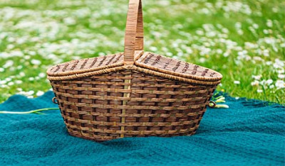 pagenda pique-nique.jpg