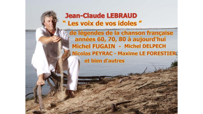 la voix des idoles bandeau.jpg