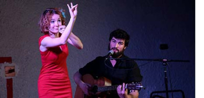 bandeau concert Anne Sylvestre.jpg