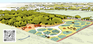 Créateurs de forêt